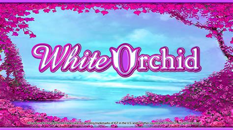 White Orchid Slot Review, Bonuses & Free Play .